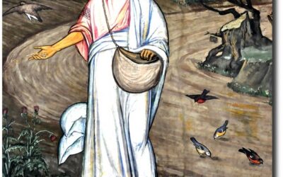 L’Angolo del Monaco – Dom. XV del Tempo Ordinario
